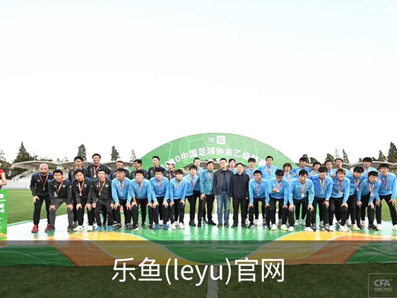乐鱼(leyu)官网概况
